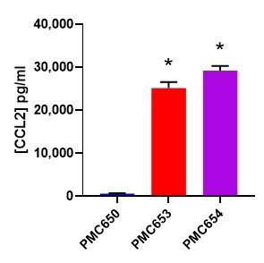 Human CCL2/MCP-1 DuoSet ELISA DY279