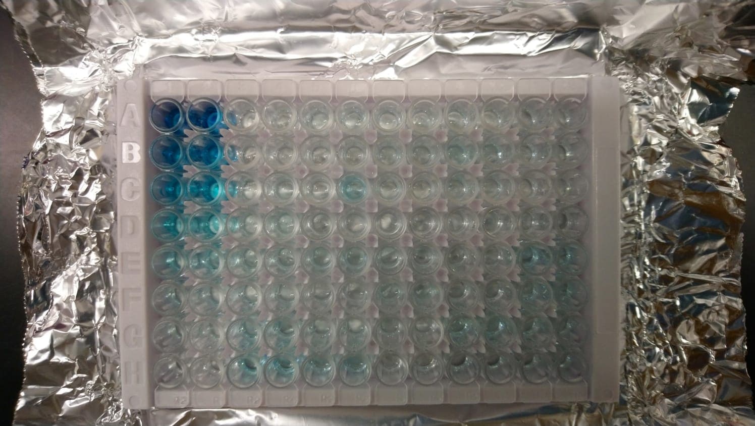 Human IFN-gamma DuoSet ELISA DY285B
