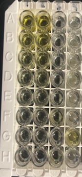 Human IFN-gamma DuoSet ELISA DY285B