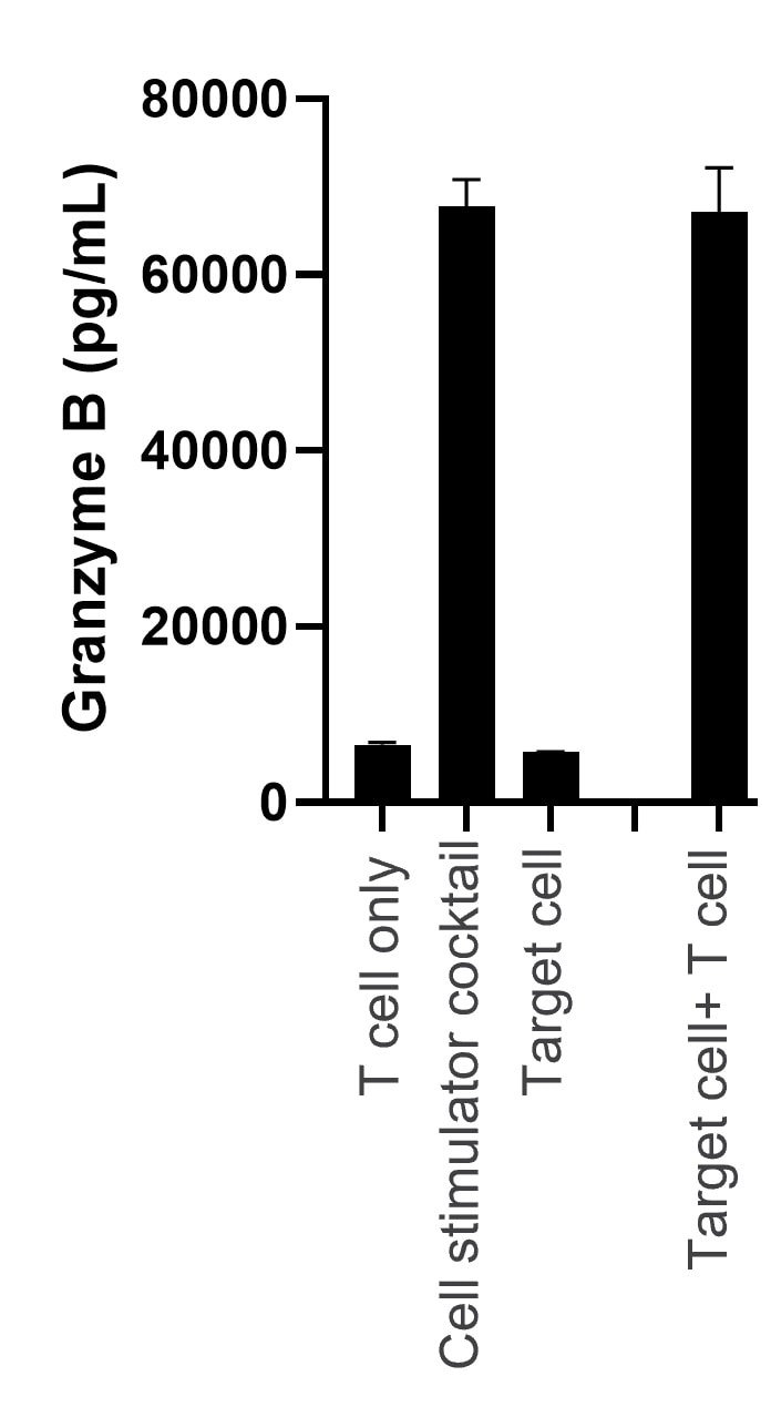Human Granzyme B DuoSet ELISA DY2906-05