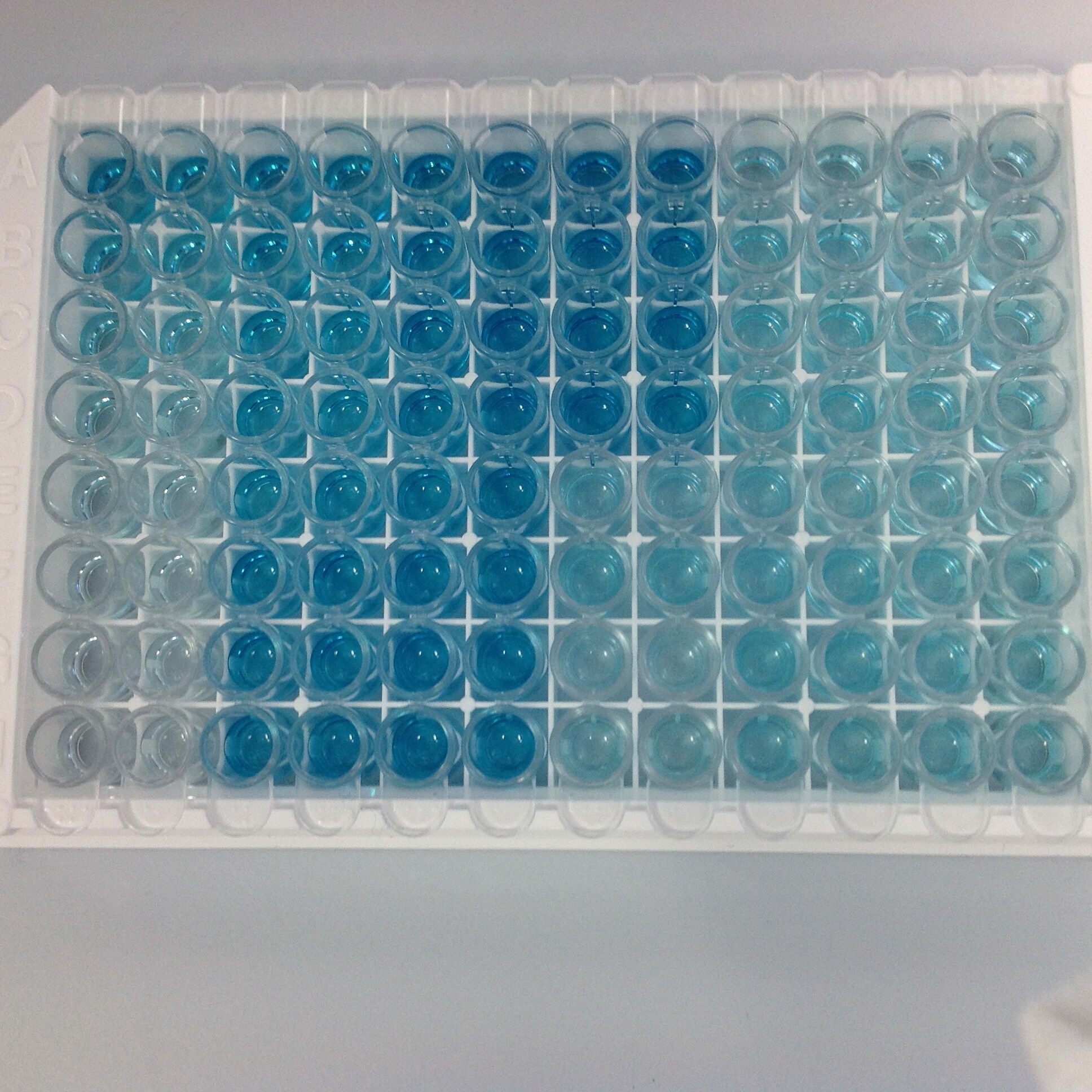 Human VEGF DuoSet ELISA DY293B