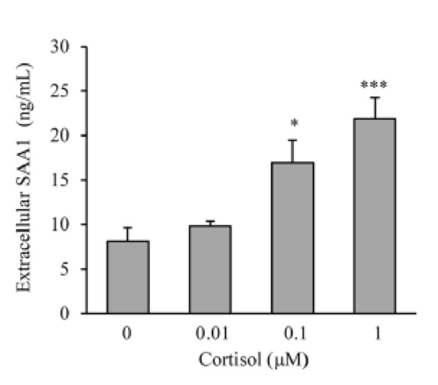 Human Serum Amyloid A1 DuoSet ELISA DY3019-05