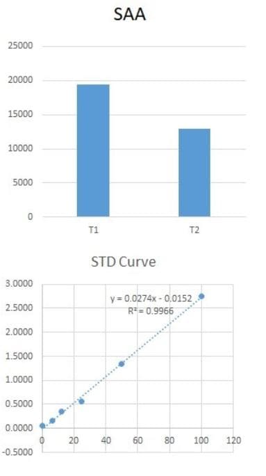 Human Serum Amyloid A1 DuoSet ELISA DY3019-05