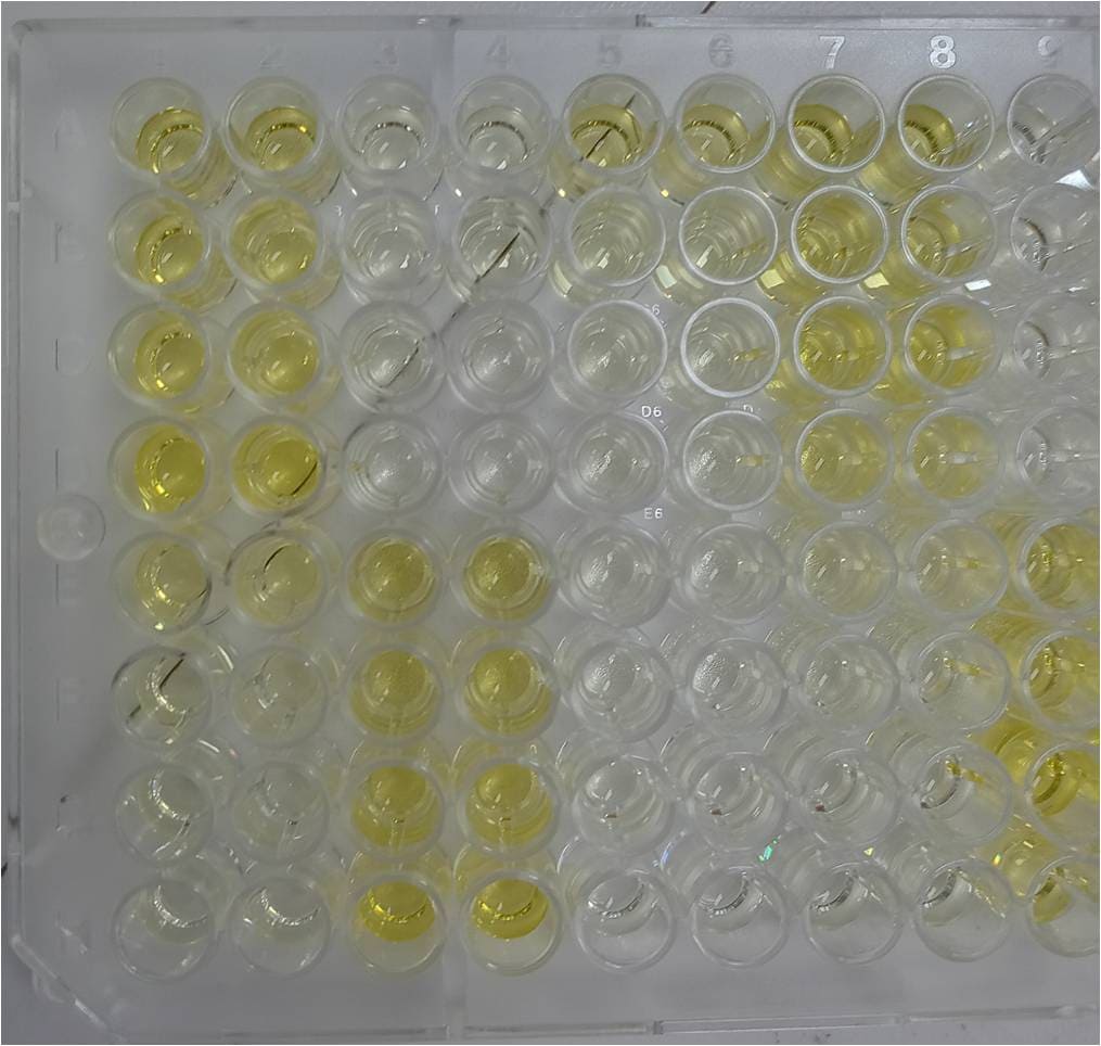 Human Myeloperoxidase DuoSet ELISA DY3174