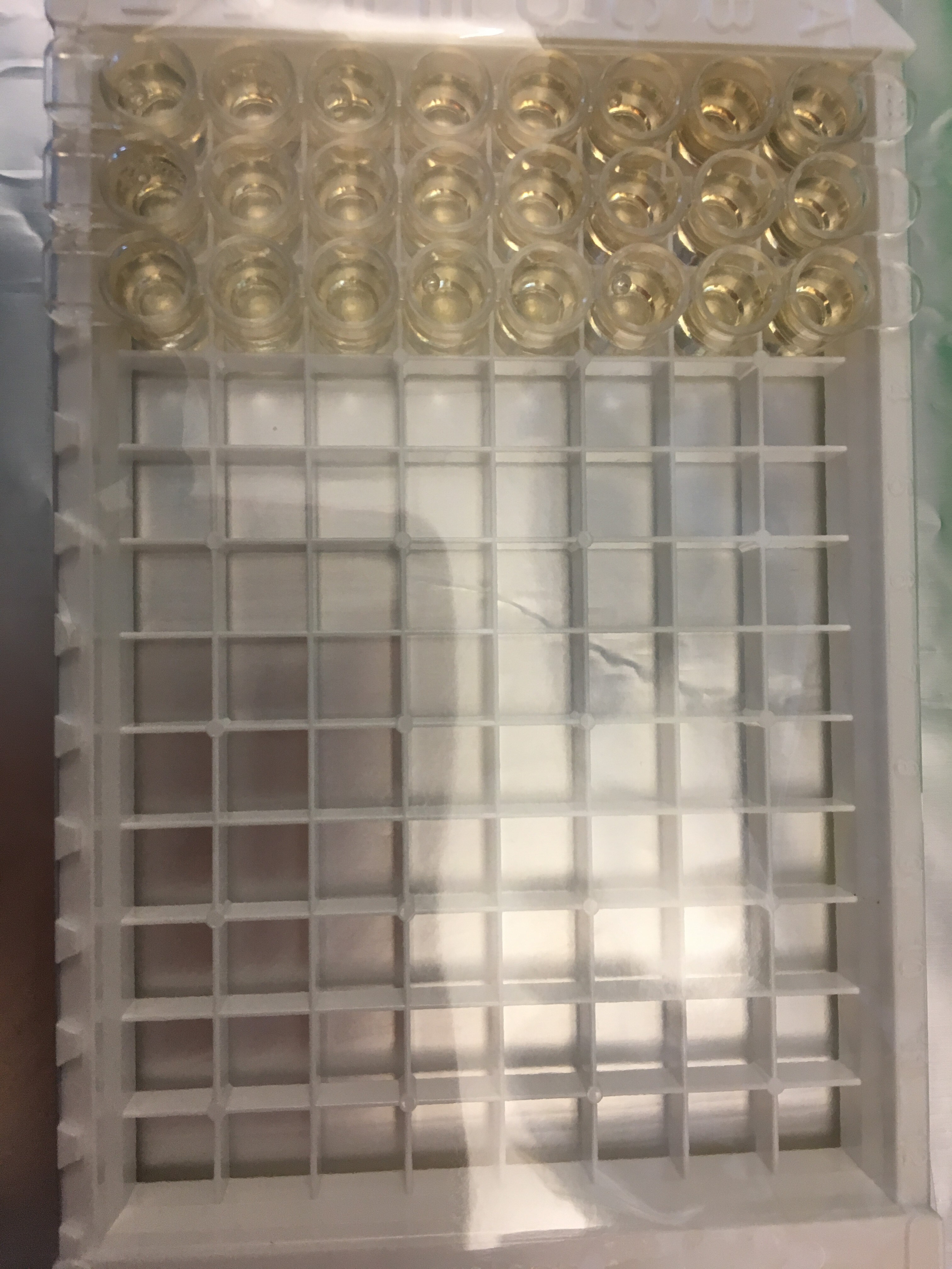 Equine IL-1 beta/IL-1F2 DuoSet ELISA DY3340
