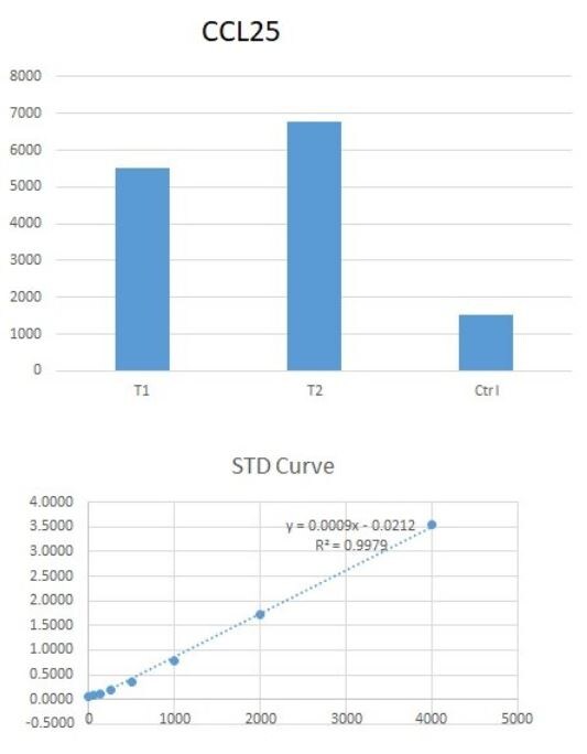 Human CCL25/TECK DuoSet ELISA DY334