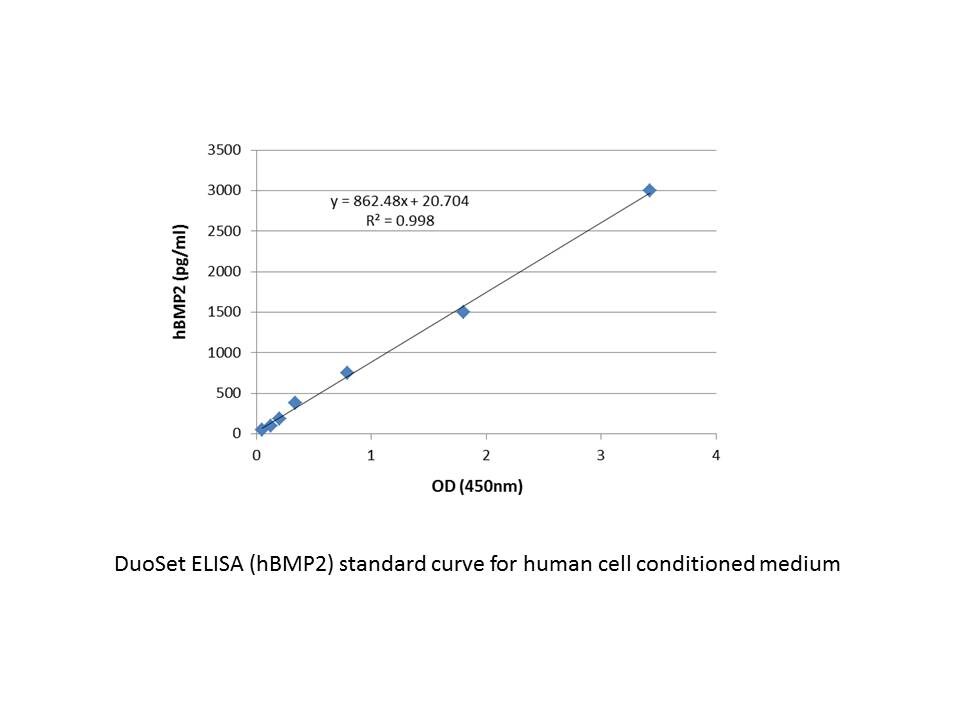 Human BMP-2 DuoSet ELISA DY355