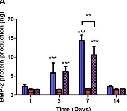 Human BMP-2 DuoSet ELISA DY355