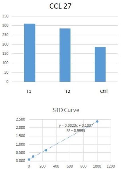 Human CCL27/CTACK DuoSet ELISA DY376