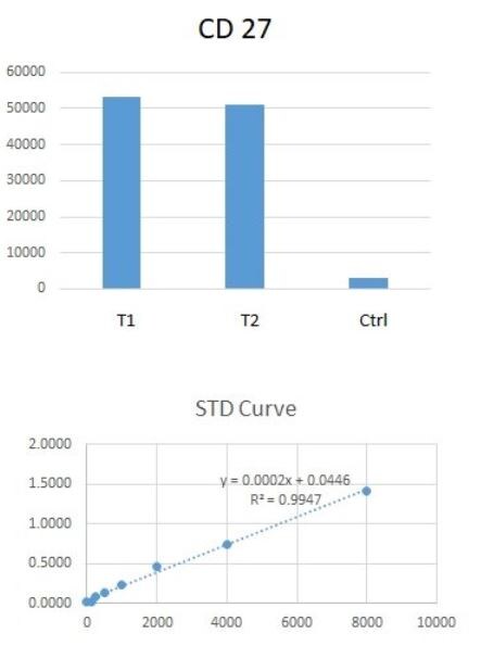 Human CD27/TNFRSF7 DuoSet ELISA DY382-05