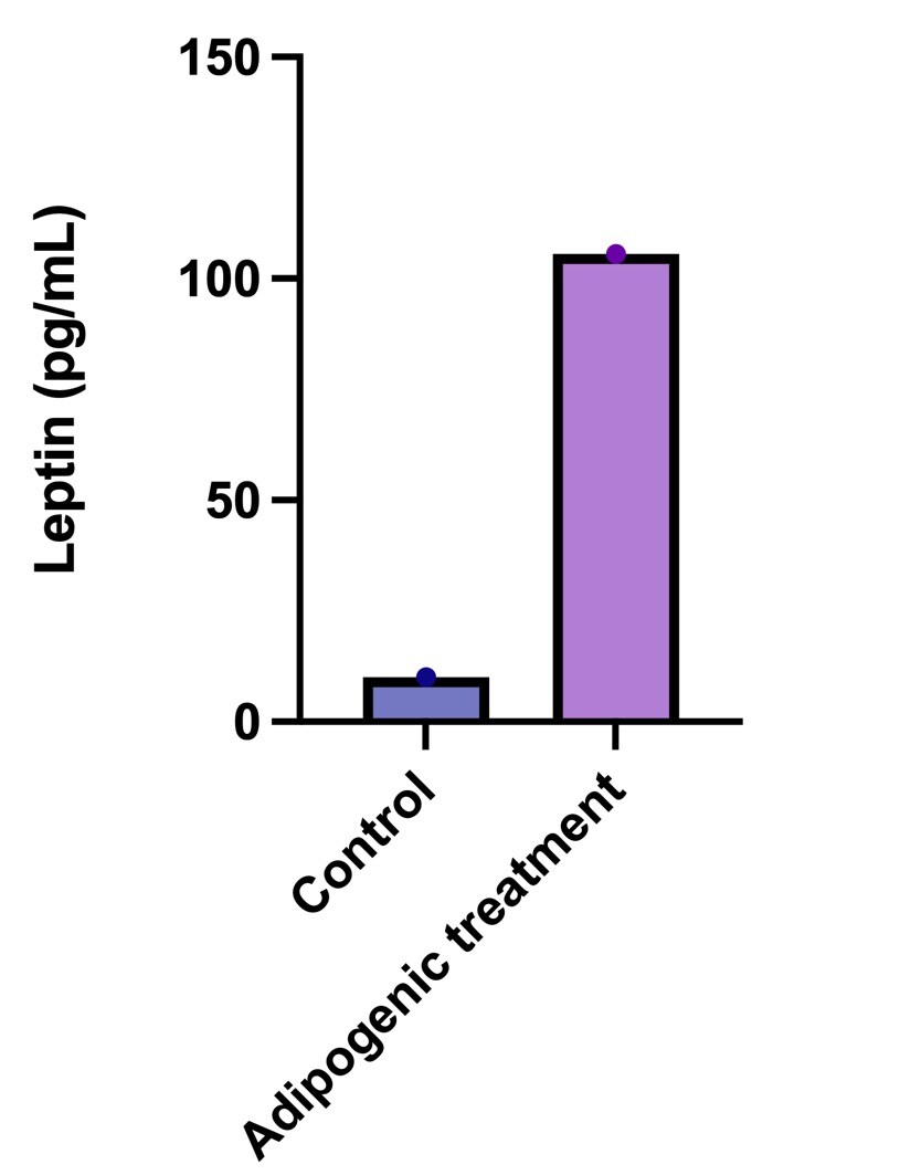 Human Leptin DuoSet ELISA DY398