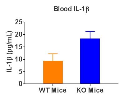 Mouse IL-1 beta/IL-1F2 DuoSet ELISA DY401