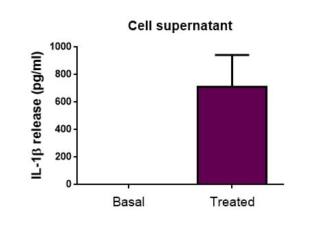 Mouse IL-1 beta/IL-1F2 DuoSet ELISA DY401