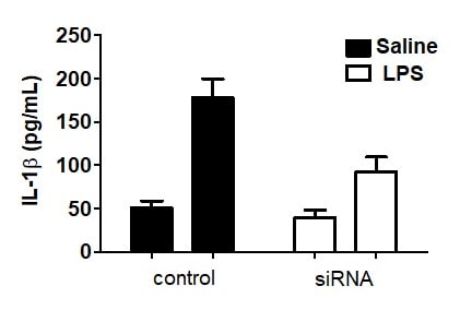 Mouse IL-1 beta/IL-1F2 DuoSet ELISA DY401