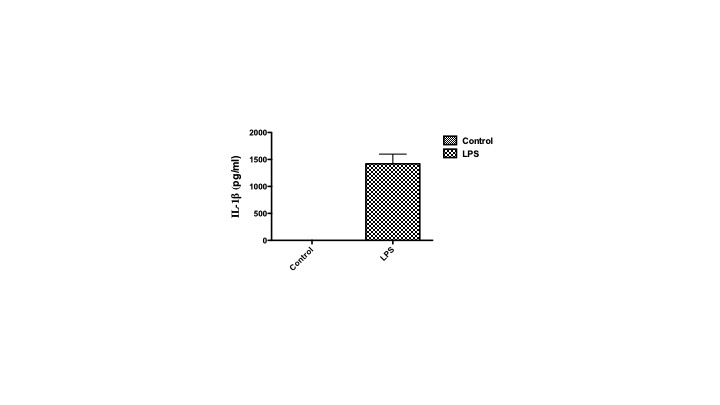 Mouse IL-1 beta/IL-1F2 DuoSet ELISA DY401