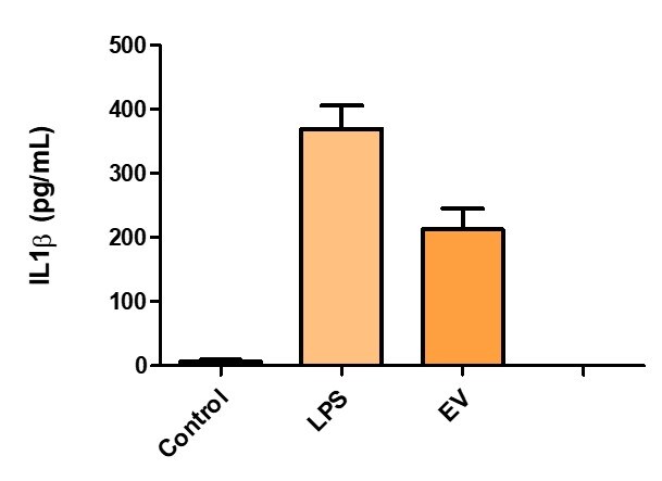 Mouse IL-1 beta/IL-1F2 DuoSet ELISA DY401