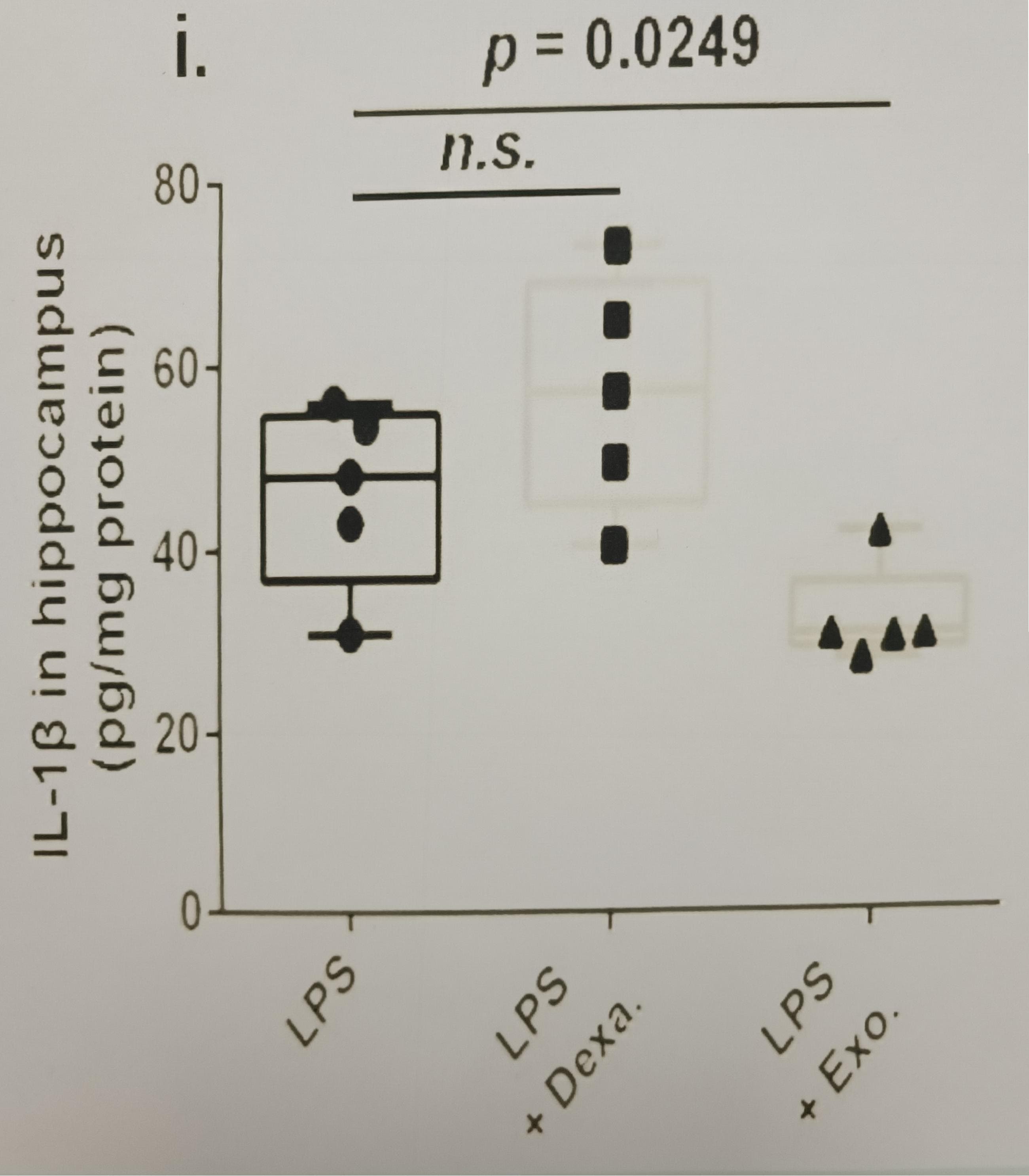 Mouse IL-1 beta/IL-1F2 DuoSet ELISA DY401