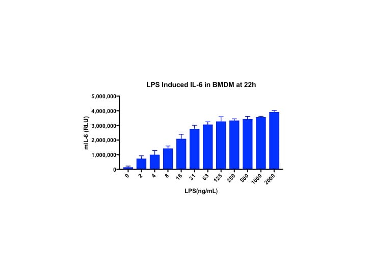 Mouse IL-6 DuoSet ELISA DY406