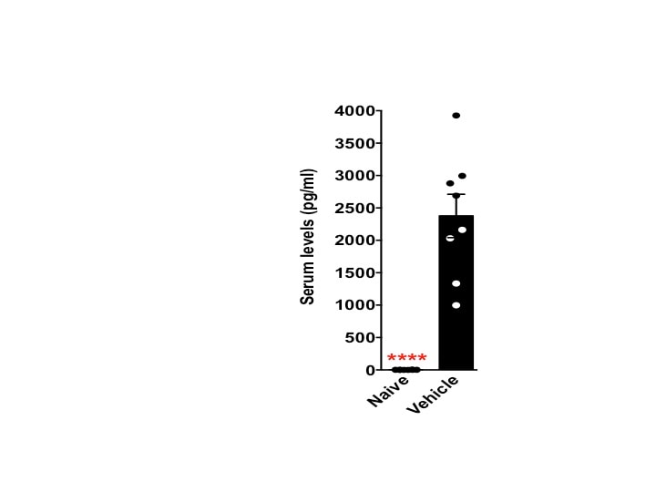 Mouse IL-6 DuoSet ELISA DY406