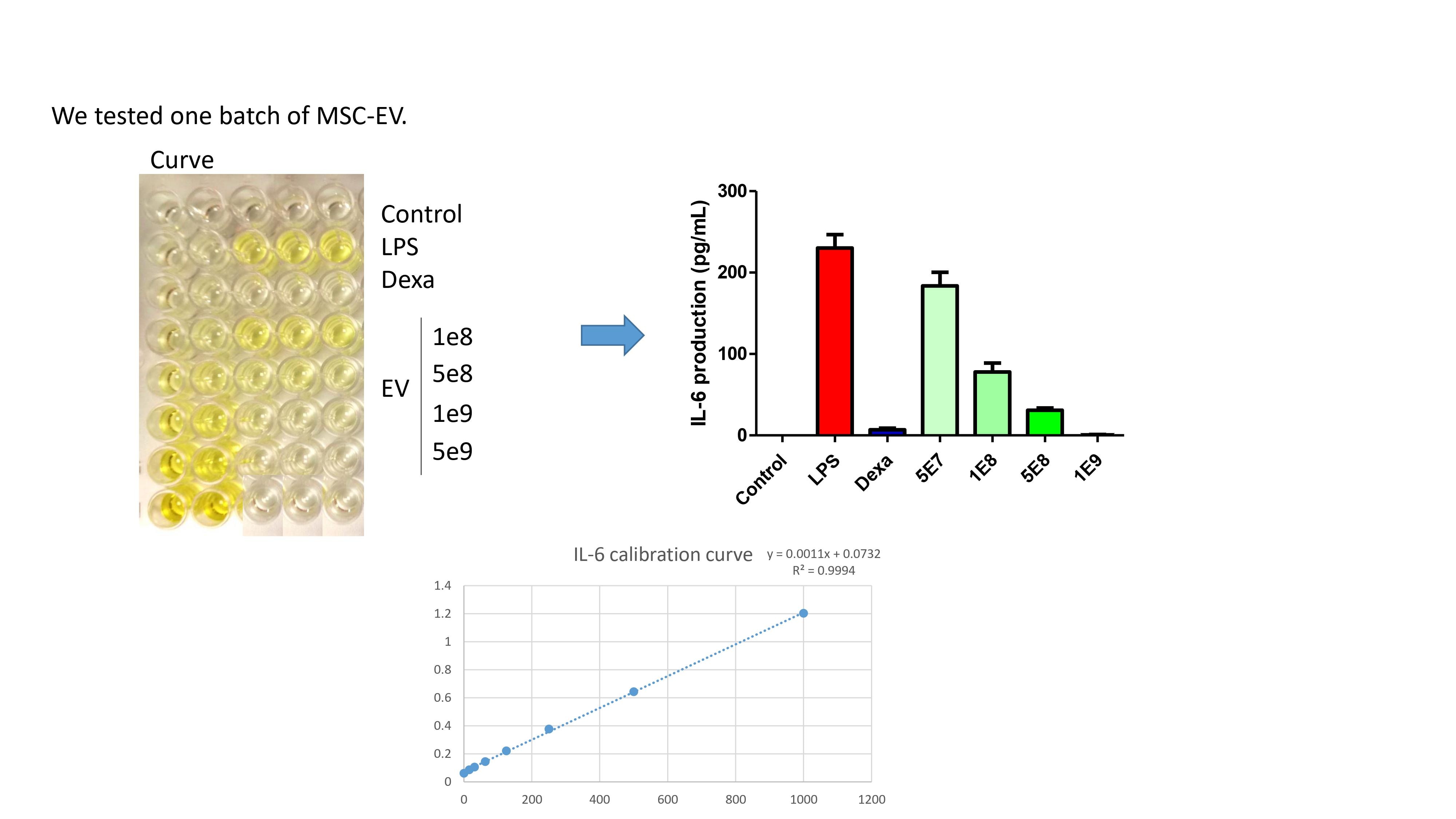 Mouse IL-6 DuoSet ELISA DY406