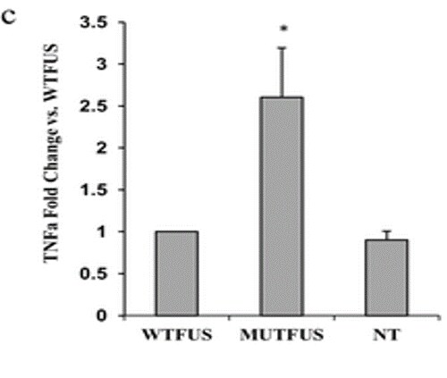 Mouse TNF-alpha DuoSet ELISA DY410