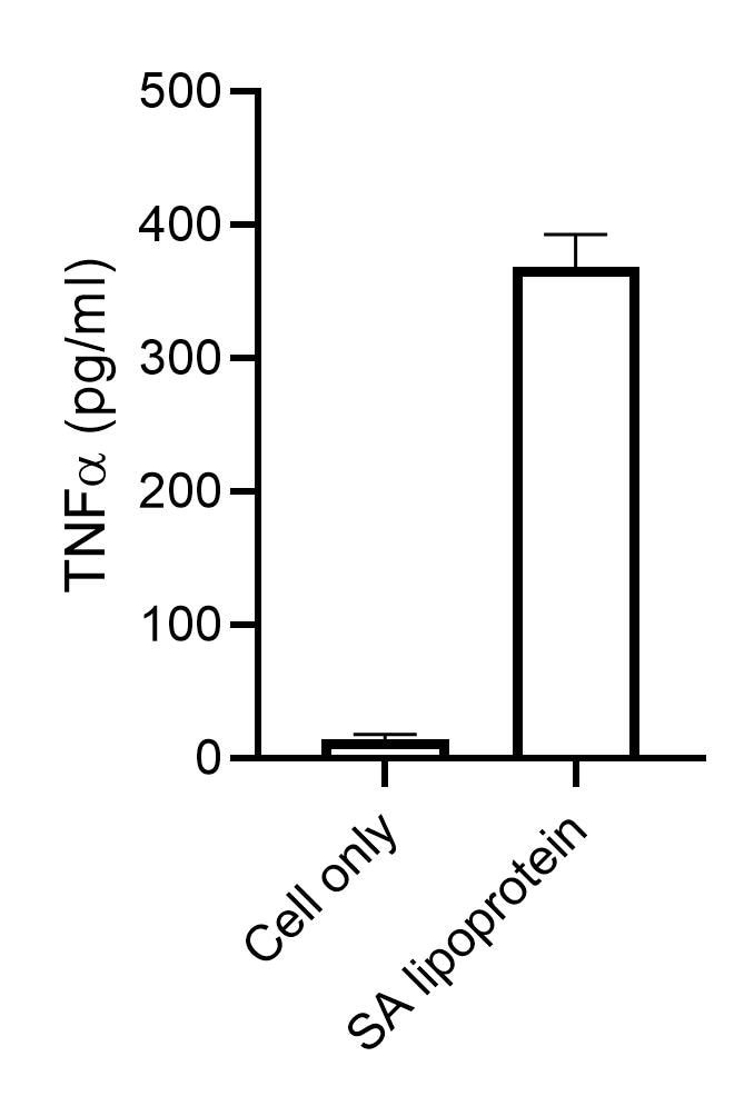 Mouse TNF-alpha DuoSet ELISA DY410