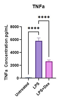 Mouse TNF-alpha DuoSet ELISA DY410