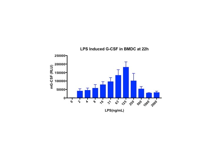 Mouse G-CSF DuoSet ELISA DY414