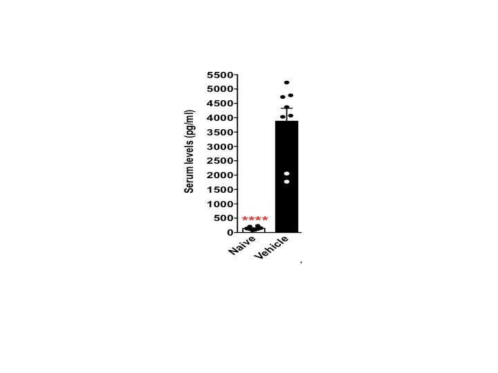 Mouse G-CSF DuoSet ELISA DY414