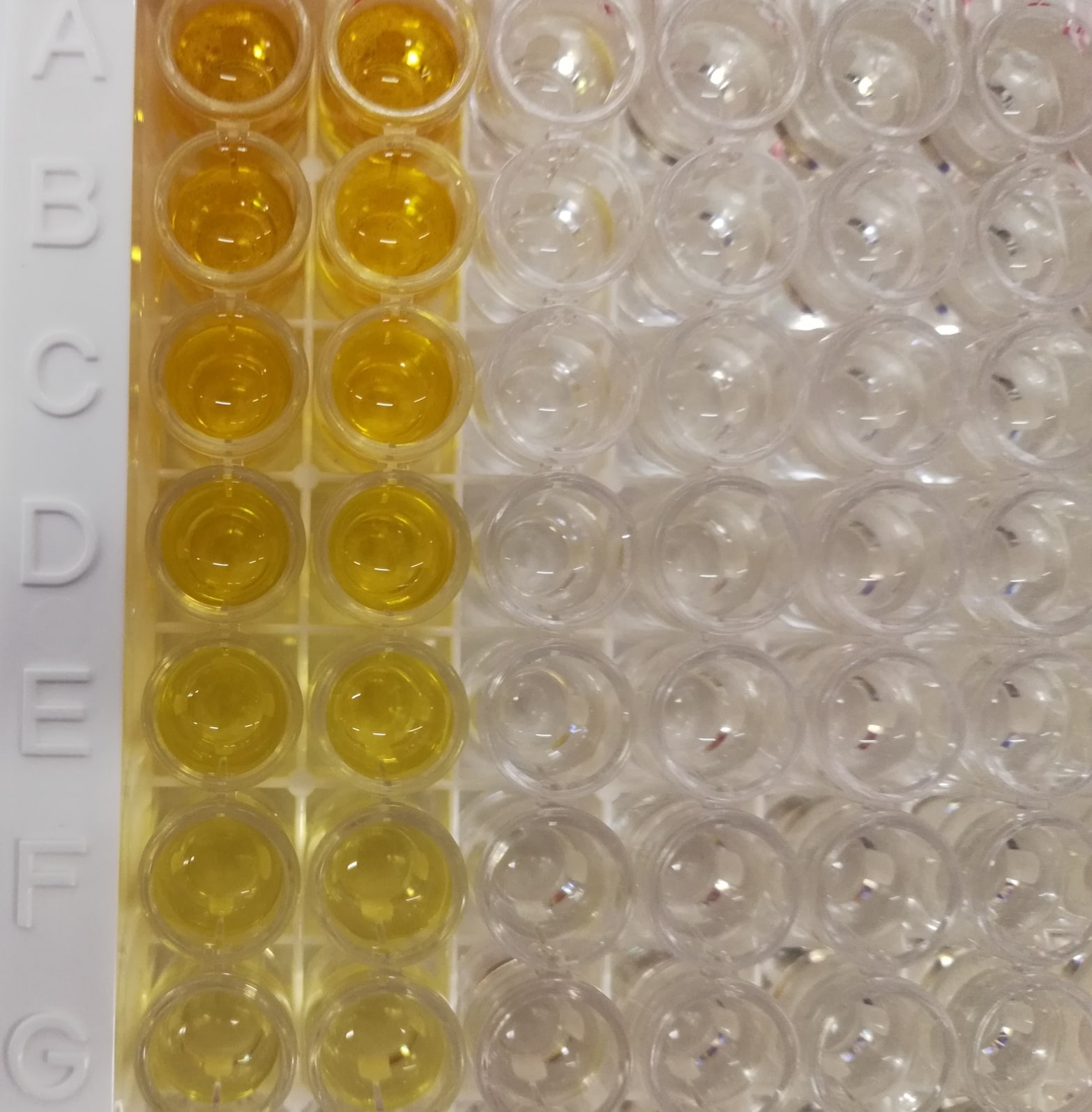 Mouse IL-12 p70 DuoSet ELISA DY419