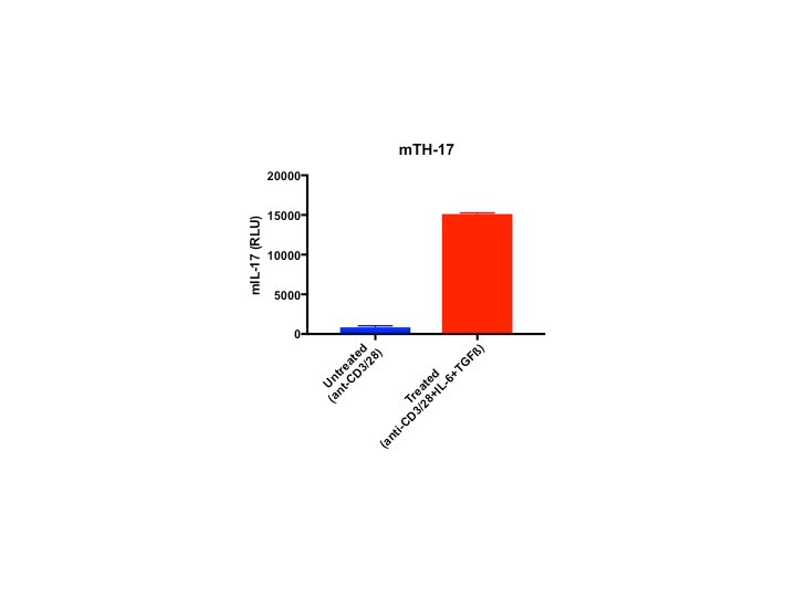 Mouse IL-17 DuoSet ELISA DY421