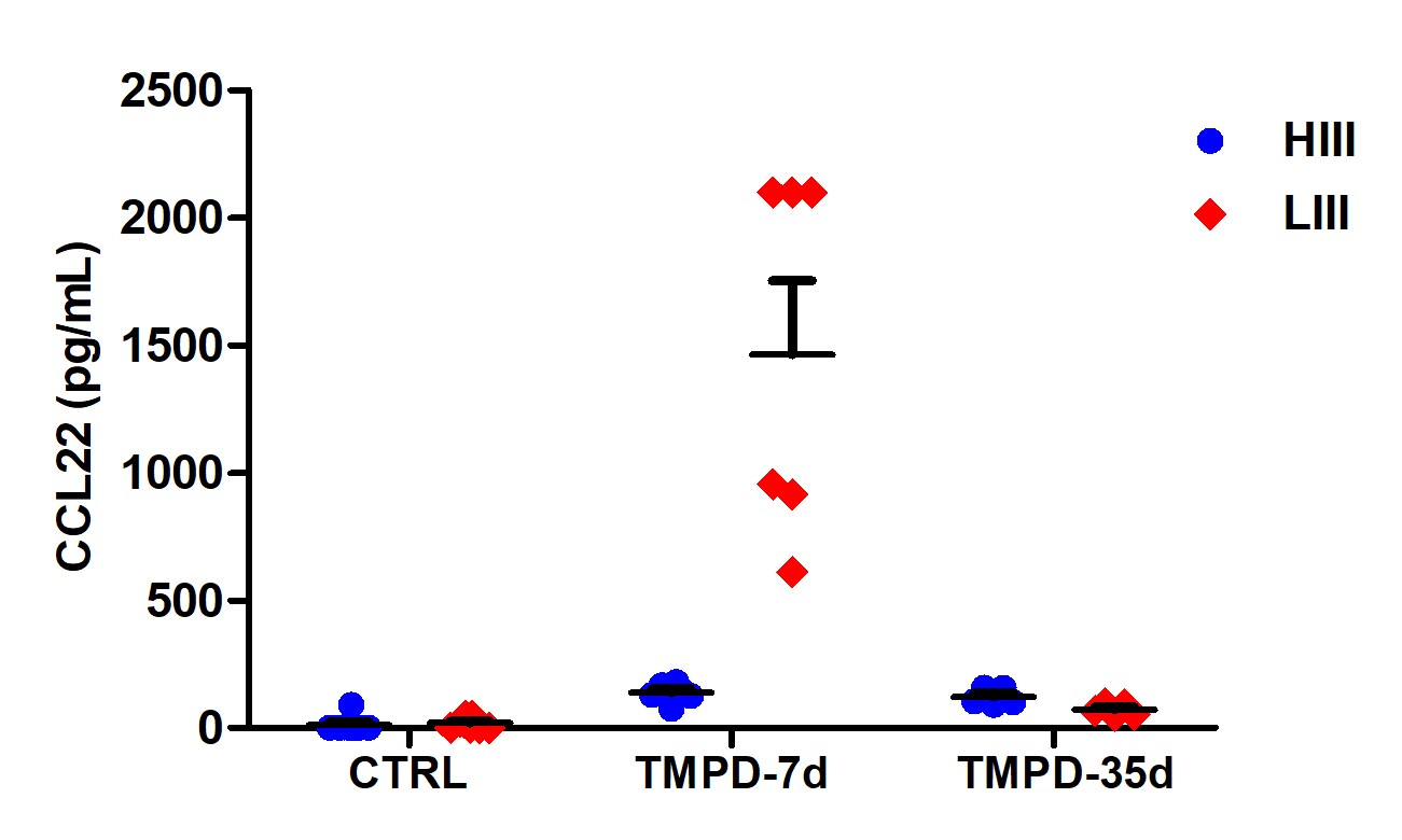 Mouse CCL22/MDC DuoSet ELISA DY439