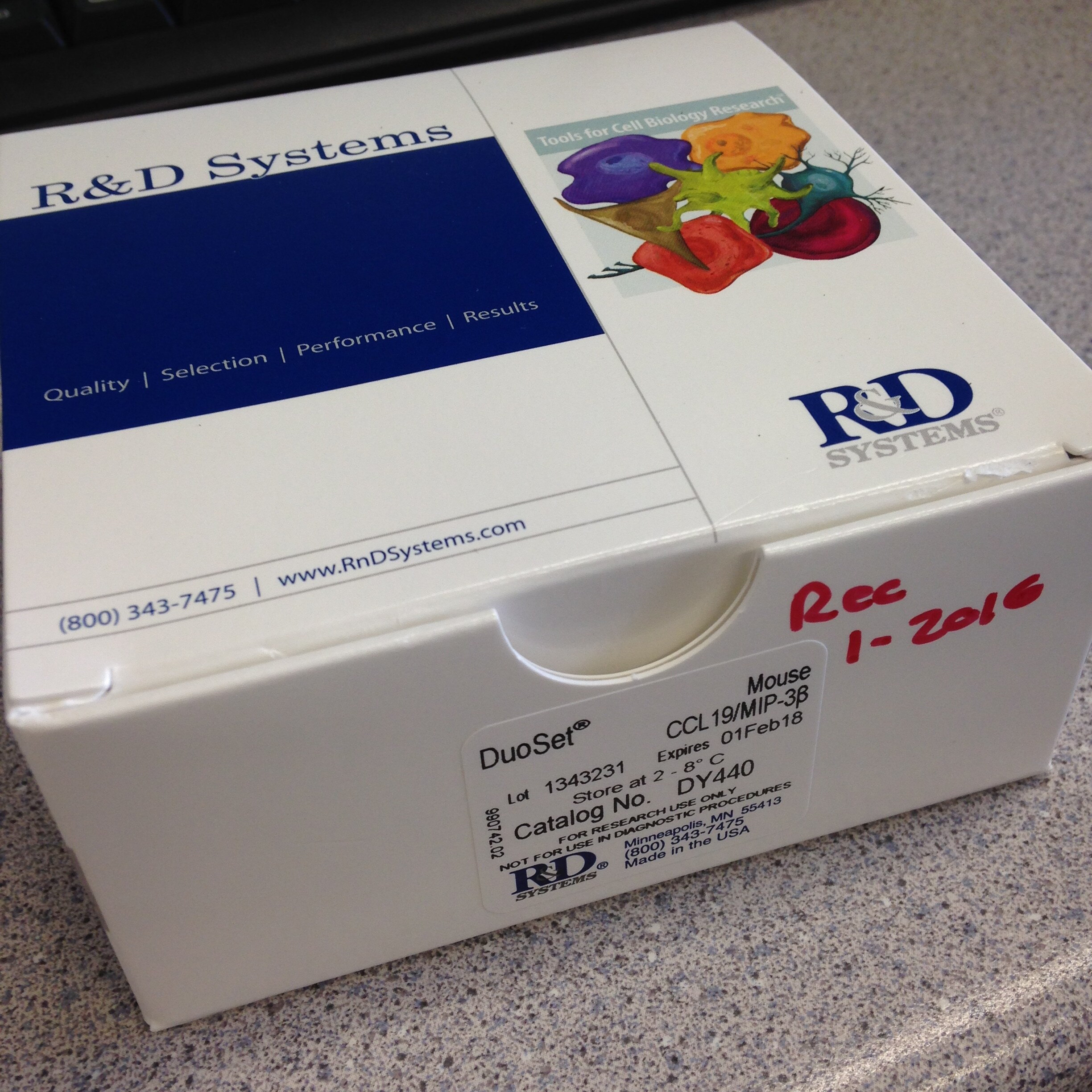 Mouse CCL19/MIP-3 beta DuoSet ELISA DY440
