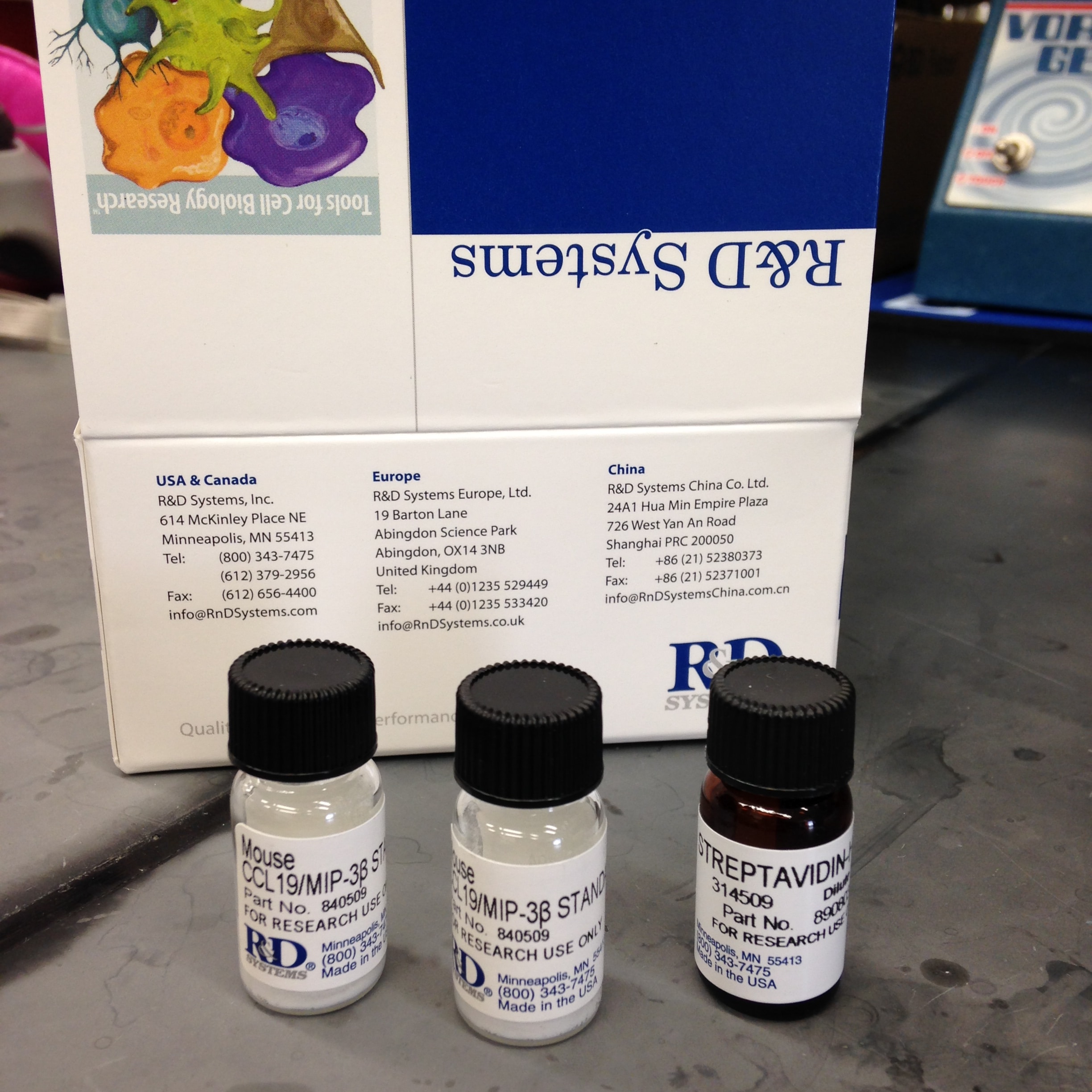 Mouse CCL19/MIP-3 beta DuoSet ELISA DY440