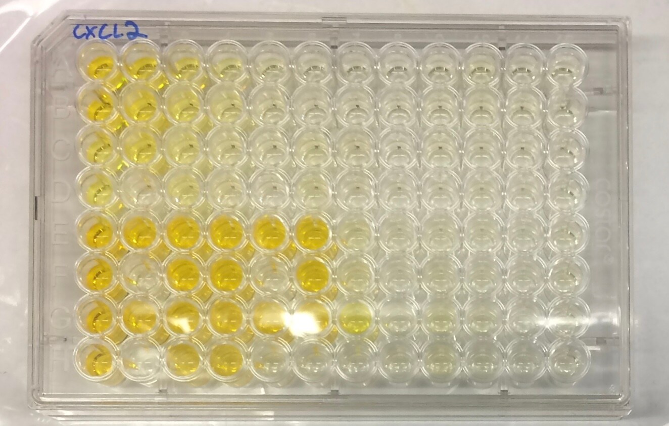 Mouse CXCL2/MIP-2 DuoSet ELISA DY452