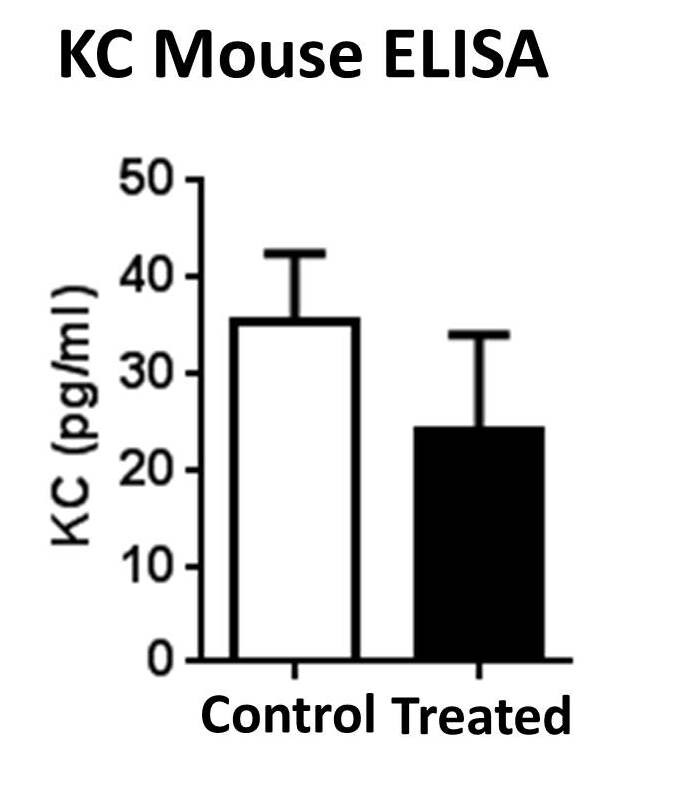 Mouse CXCL1/KC DuoSet ELISA DY453
