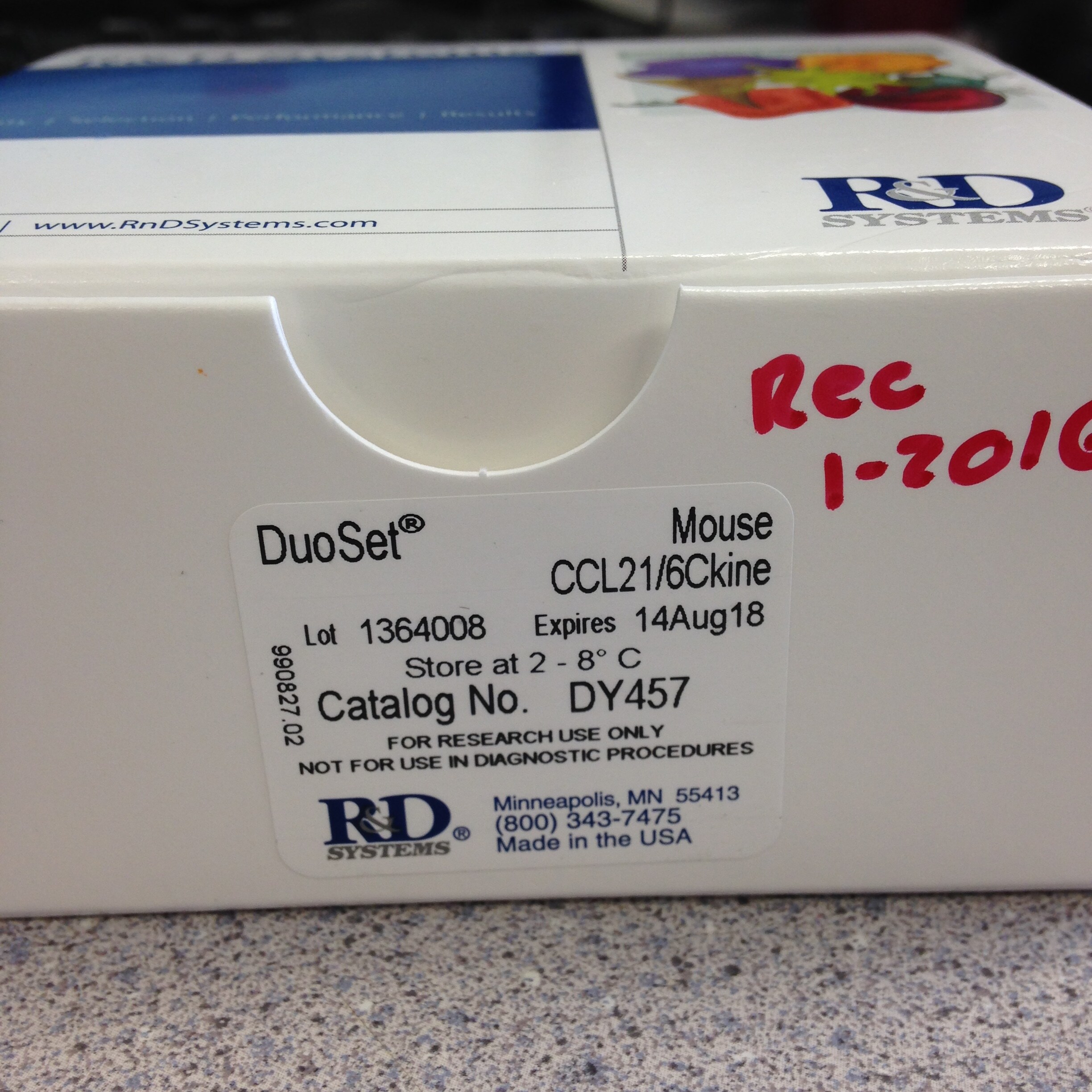 Mouse CCL21/6Ckine DuoSet ELISA DY457