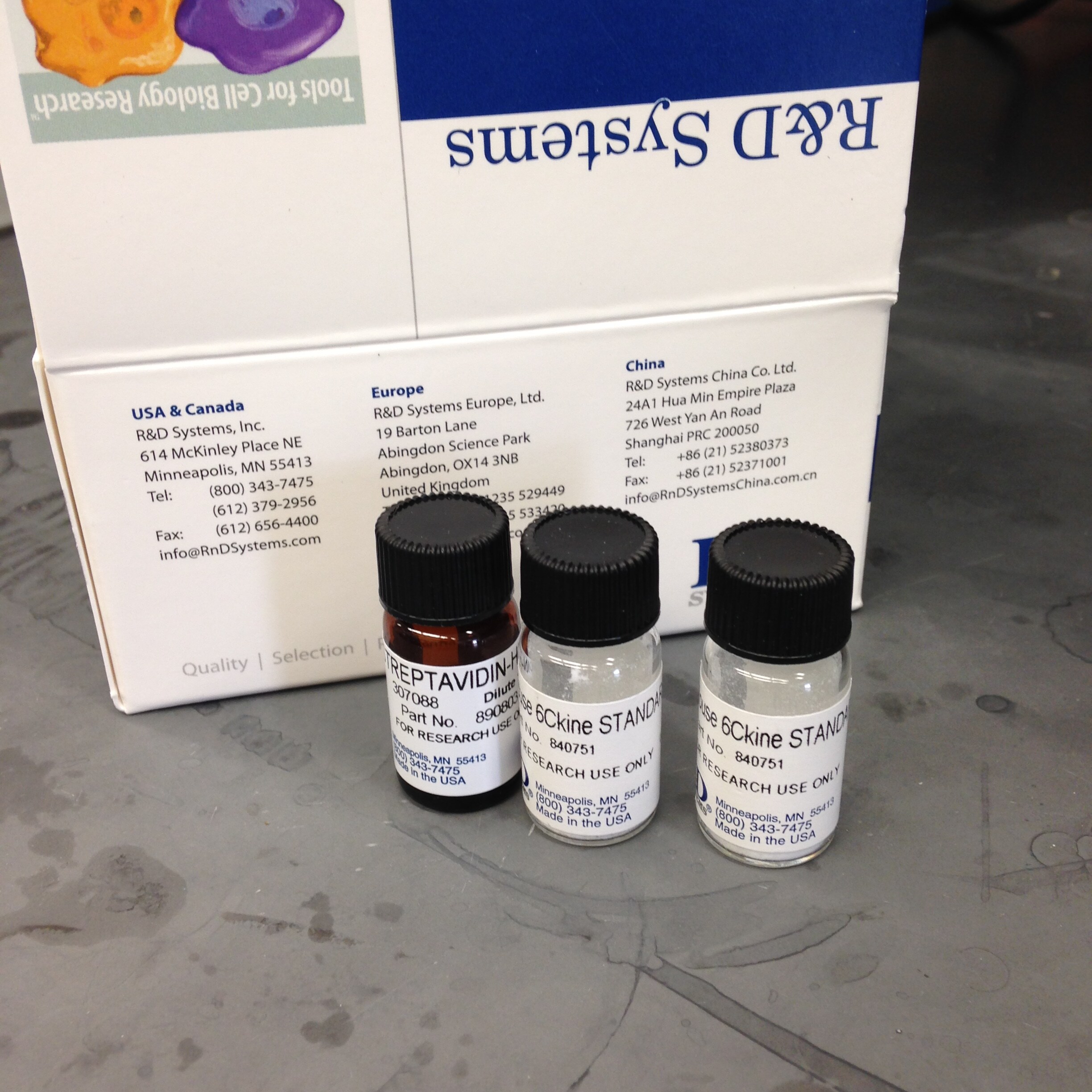 Mouse CCL21/6Ckine DuoSet ELISA DY457