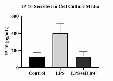 Mouse CXCL10/IP-10/CRG-2 DuoSet ELISA DY466