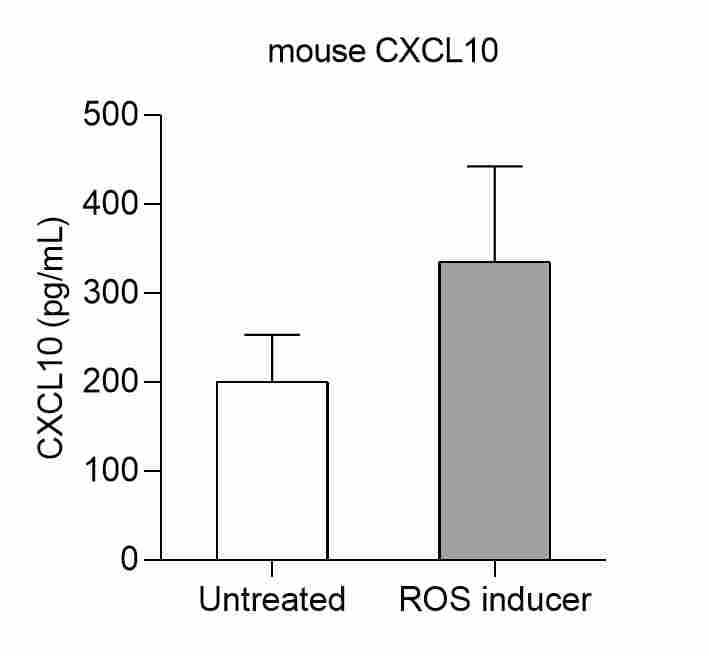 Mouse CXCL10/IP-10/CRG-2 DuoSet ELISA DY466