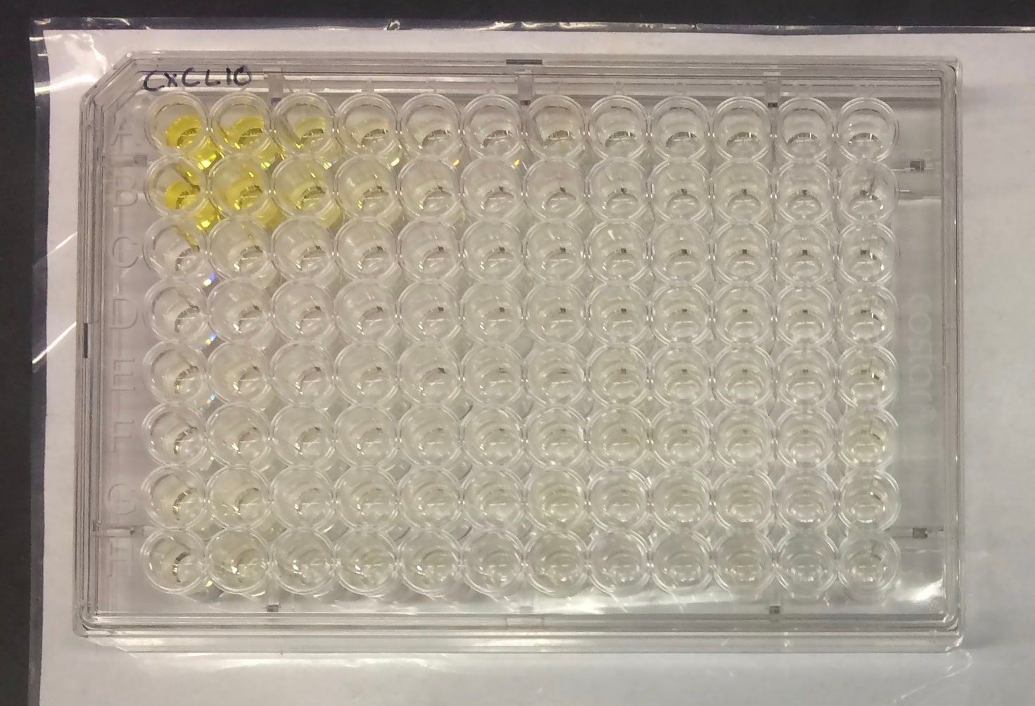 Mouse CXCL10/IP-10/CRG-2 DuoSet ELISA DY466