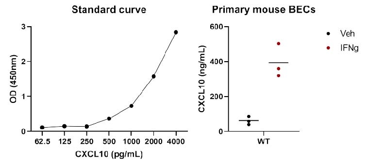 Mouse CXCL10/IP-10/CRG-2 DuoSet ELISA DY466