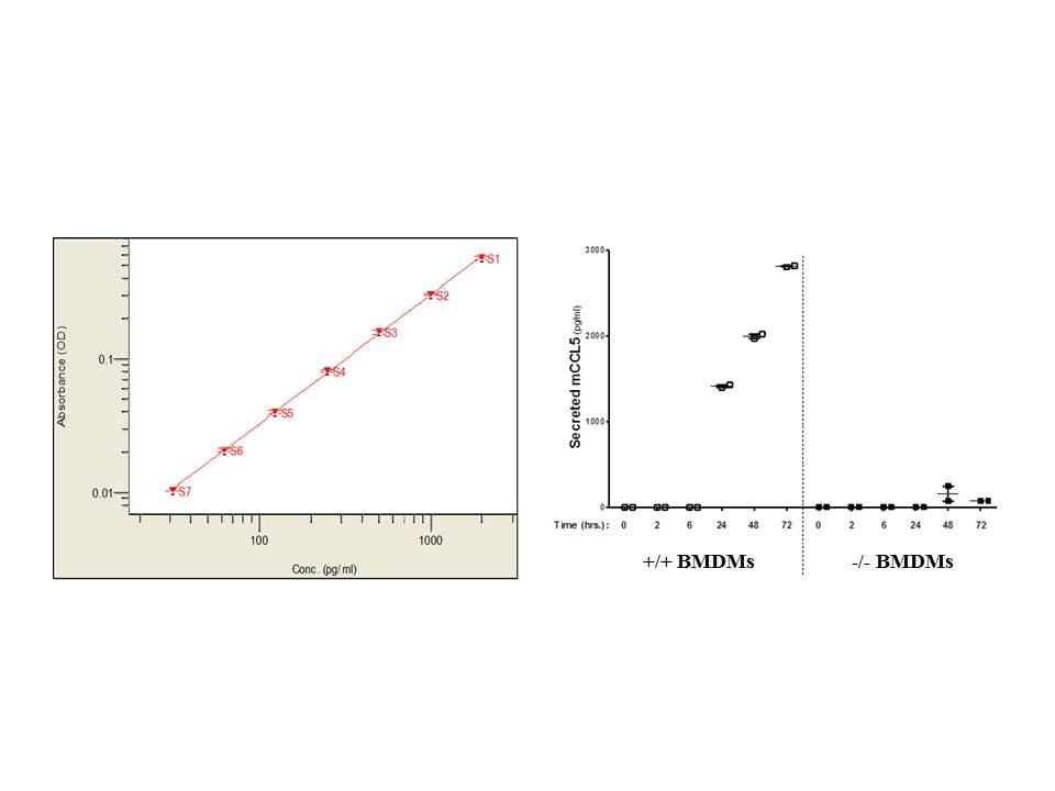 Mouse CCL5/RANTES DuoSet ELISA DY478