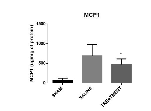 Mouse CCL2/JE/MCP-1 DuoSet ELISA DY479