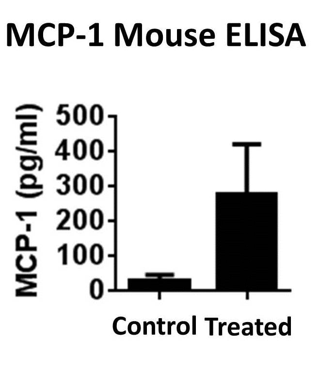 Mouse CCL2/JE/MCP-1 DuoSet ELISA DY479