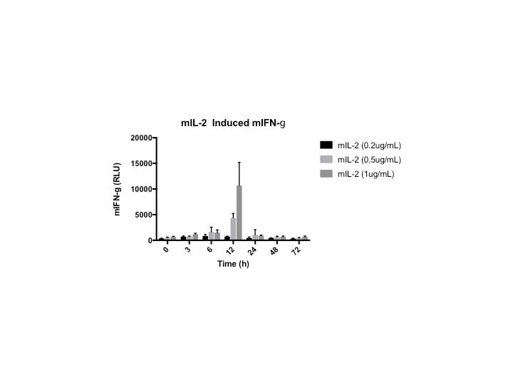 Mouse IFN-gamma DuoSet ELISA DY485