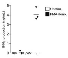 Mouse IFN-gamma DuoSet ELISA DY485