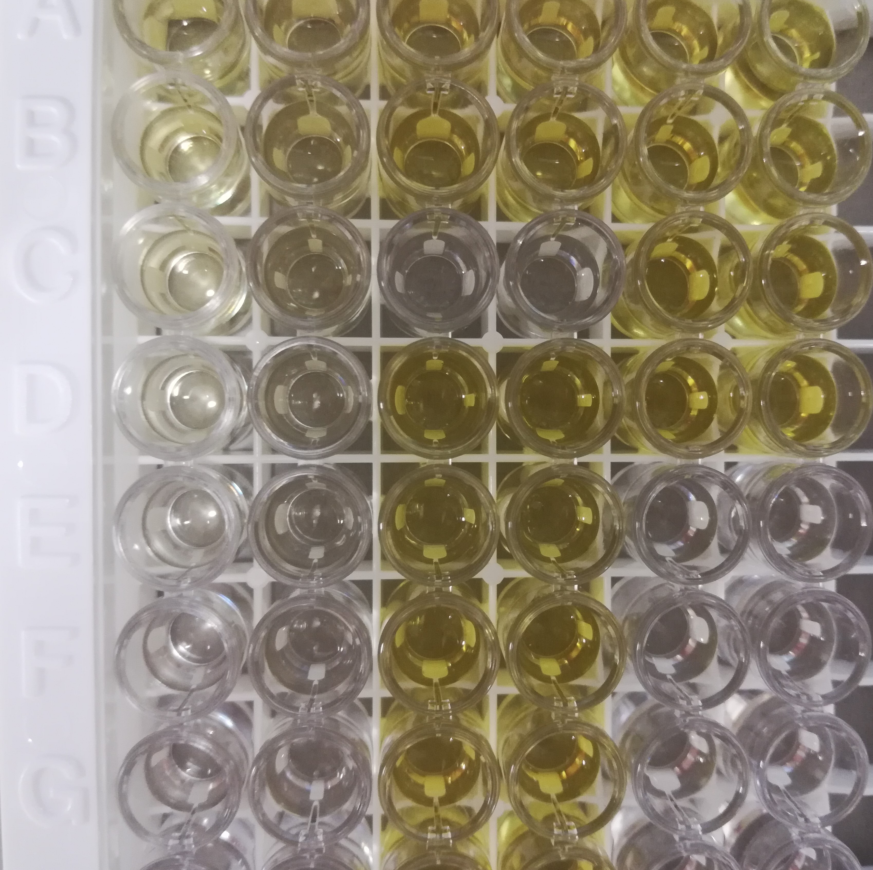 Mouse IFN-gamma DuoSet ELISA DY485
