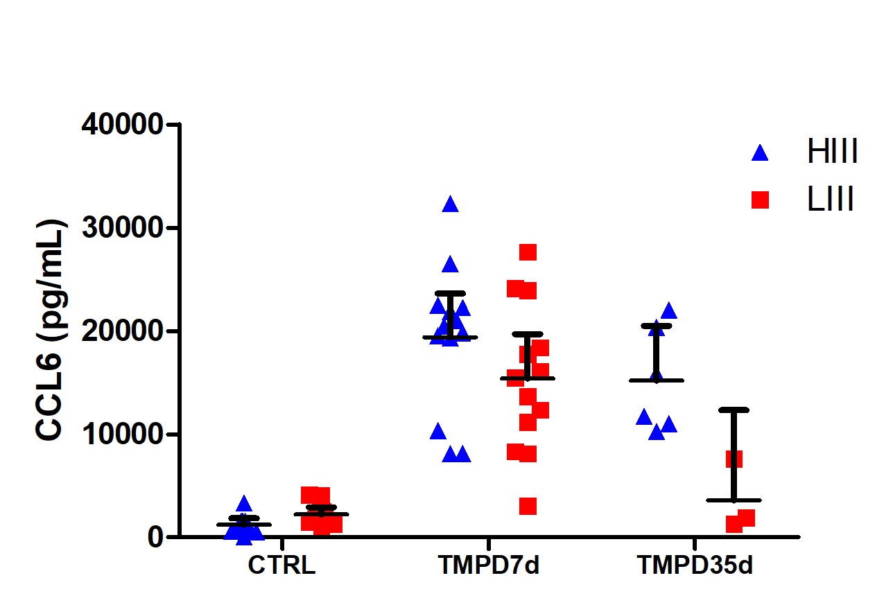 Mouse CCL6/C10 DuoSet ELISA DY487