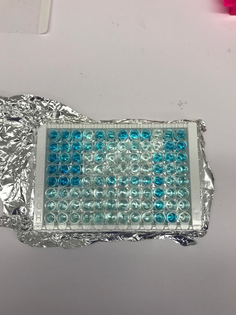 Human BMP-6 DuoSet ELISA DY507